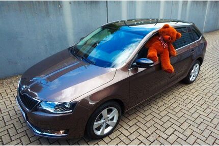 Skoda Rapid Gebrauchtwagen