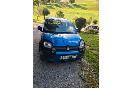 Fiat Panda Gebrauchtwagen