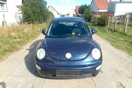 VW Beetle Gebrauchtwagen