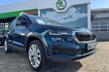 Skoda Karoq Gebrauchtwagen