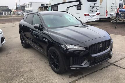Jaguar F-Pace Gebrauchtwagen