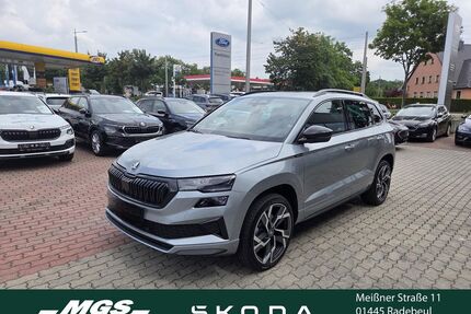 Skoda Karoq Gebrauchtwagen