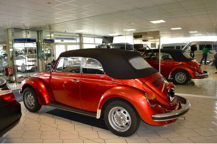 VW Käfer Gebrauchtwagen