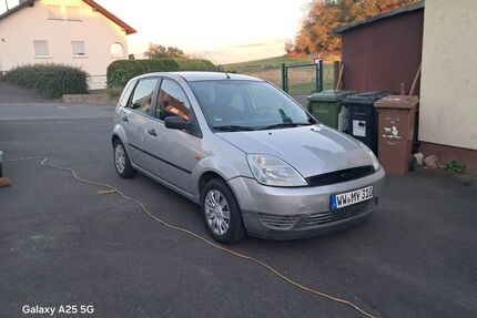 Ford Fiesta Gebrauchtwagen