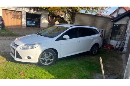 Ford Focus Gebrauchtwagen