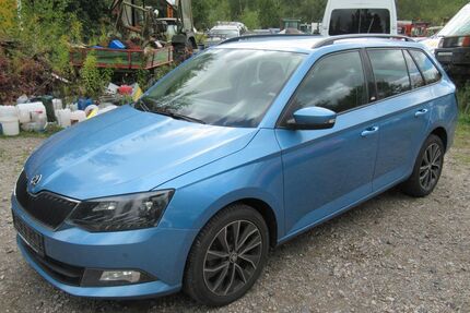 Skoda Fabia Gebrauchtwagen