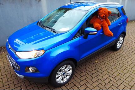Ford EcoSport Gebrauchtwagen