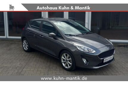 Ford Fiesta Gebrauchtwagen
