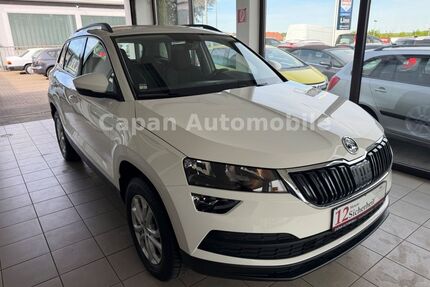 Skoda Karoq Gebrauchtwagen