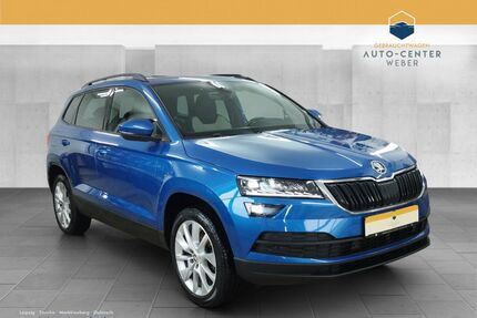 Skoda Karoq Gebrauchtwagen