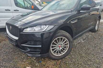 Jaguar F-Pace Gebrauchtwagen