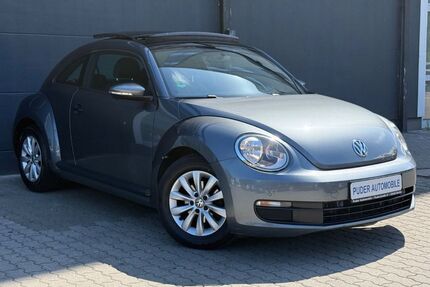 VW Beetle Gebrauchtwagen