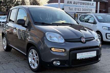 Fiat Panda Gebrauchtwagen