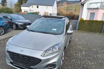 Ford Kuga Gebrauchtwagen