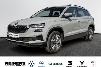 Skoda Karoq Gebrauchtwagen