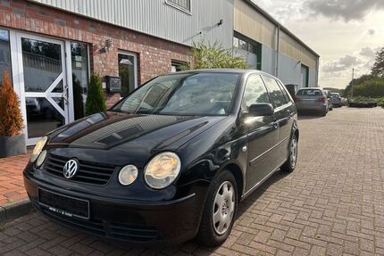 VW Polo Gebrauchtwagen