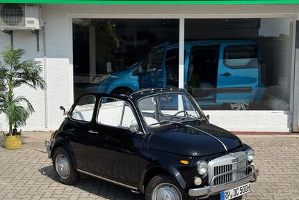 Fiat 500L Gebrauchtwagen