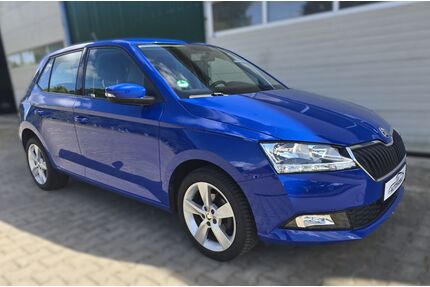Skoda Fabia Gebrauchtwagen
