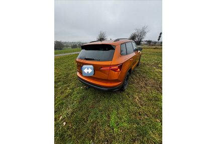 Skoda Karoq Gebrauchtwagen