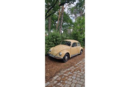 VW Käfer Gebrauchtwagen