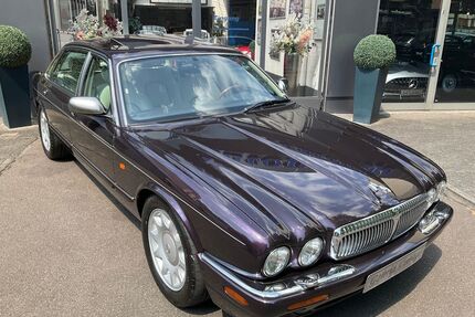 Jaguar Daimler Gebrauchtwagen