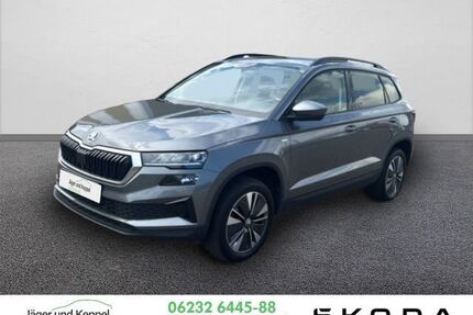 Skoda Karoq Gebrauchtwagen