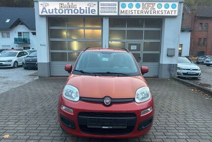 Fiat Panda Gebrauchtwagen