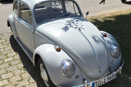 VW Käfer Gebrauchtwagen