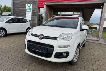 Fiat Panda Gebrauchtwagen