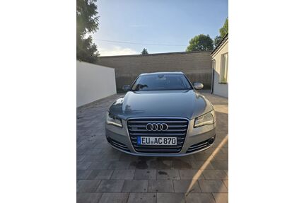 Audi A8 Gebrauchtwagen