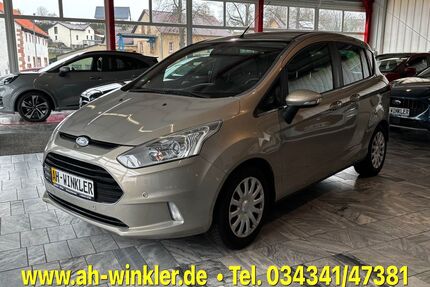 Ford B-Max Gebrauchtwagen