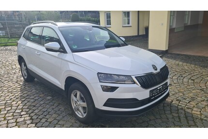 Skoda Karoq Gebrauchtwagen