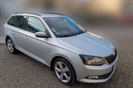 Skoda Fabia Gebrauchtwagen