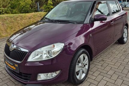 Skoda Fabia Gebrauchtwagen