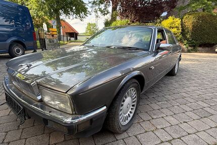 Jaguar XJ40 Gebrauchtwagen
