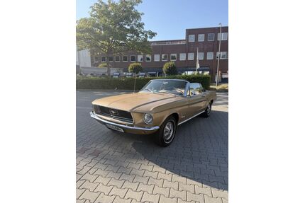 Ford Mustang Gebrauchtwagen