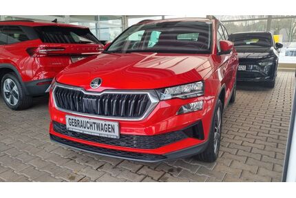 Skoda Karoq Gebrauchtwagen