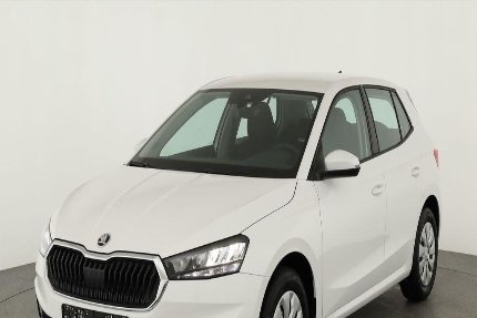Skoda Fabia Gebrauchtwagen