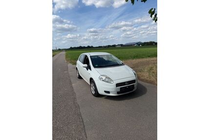 Fiat Punto Gebrauchtwagen