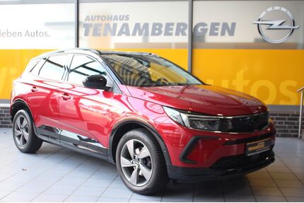 Opel Grandland (X) Gebrauchtwagen