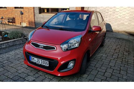 Kia Picanto Gebrauchtwagen