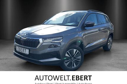 Skoda Karoq Gebrauchtwagen