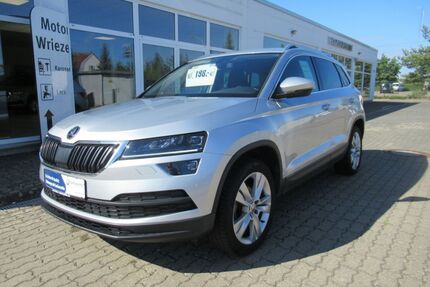 Skoda Karoq Gebrauchtwagen