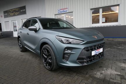 Cupra Terramar Gebrauchtwagen