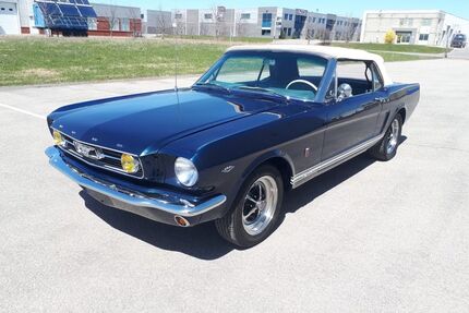 Ford Mustang Gebrauchtwagen