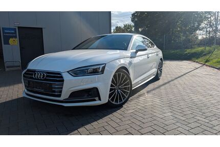 Audi A5 Gebrauchtwagen