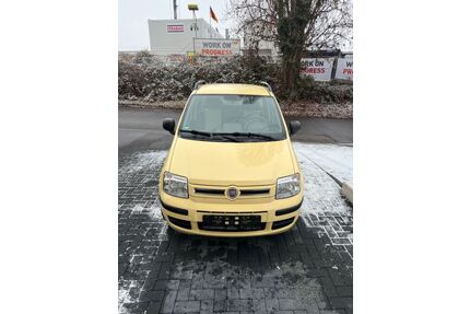 Fiat Panda Gebrauchtwagen