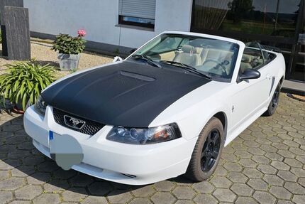 Ford Mustang Gebrauchtwagen