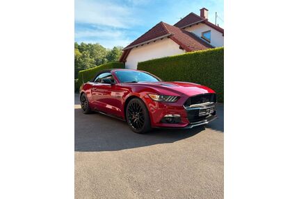 Ford Mustang Gebrauchtwagen