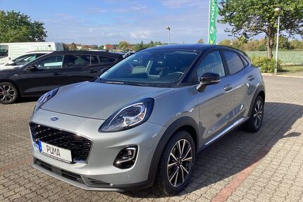Ford Puma Gebrauchtwagen